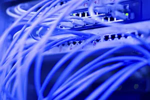 Network Cables Prints: Network cables
