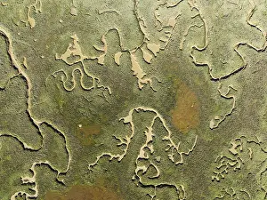 Low Tide Wetland Biotope Prints: Network of channels and streams at low tide