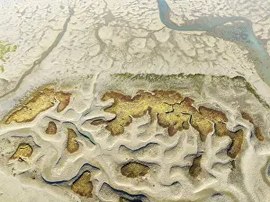 Network Of Channels And Streams Prints: Network of channels and streams at low tide