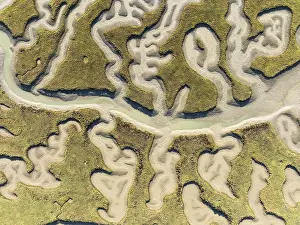 Bird Reserve Aerial Photography Prints: Network of channels and streams at low tide