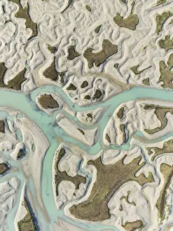 Network Of Channels And Streams At Low Tide Prints: Network of channels and streams at low tide