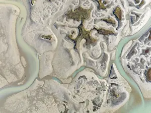 Network Of Channels And Streams Prints: Network of channels and streams at low tide