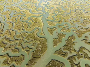 Bird Reserve Aerial Photography Prints: Network of channels and streams at low tide