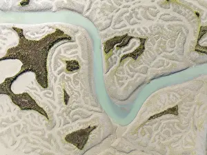 Nature Reserve In Andalusia Spain Prints: Network of channels and streams at low tide