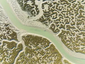 Drone Shot Cadiz Province Prints: Network of channels and streams at low tide