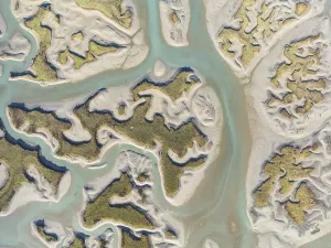 Network Of Channels And Streams Prints: Network of channels and streams at low tide