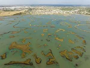Nature Reserve Cadiz Province Spain Prints: Network of channels and streams at low tide