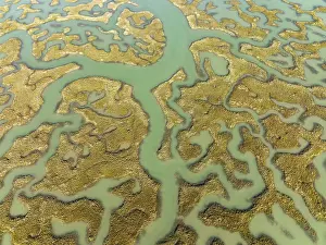 Drone Shot Cadiz Province Spain Prints: Network of channels and streams at low tide