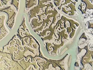 Network Of Channels And Streams Prints: Network of channels and streams at low tide