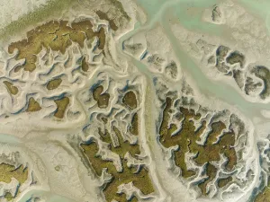 Drone Shot Cadiz Province Prints: Network of channels and streams at low tide