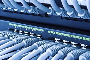 Data Center Infrastructure Prints: Network Switch Lan Network Switch LAN