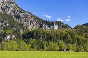 Schwangau Tourist Attraction Prints: Neuschwanstein Castle in spring