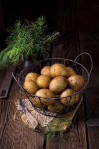 Bakery Products Prints: New small potatoes