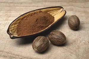 Food Nutrition Facts Prints: Nutmeg