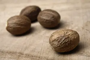 Studio Shot Of Nutmeg Prints: Nutmeg
