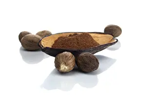 Nutmeg Spice Prints: Nutmeg