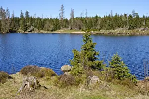 Harz National Park Prints: Oderteich, dam, Harz National Park
