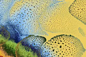 Deserted Waterfront Structures Prints: Oil bubbles inside water base form patterns