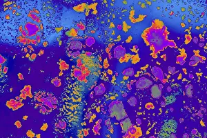 No People Waterfront Scene Prints: Oil bubbles inside water base form patterns