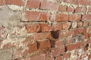Old Brick Wall Prints: Old brick wall