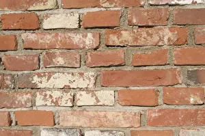 Old Brick Wall Prints: Old brick wall