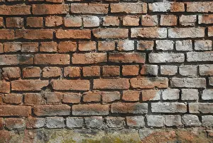Old Brick Wall Prints: Old brick wall
