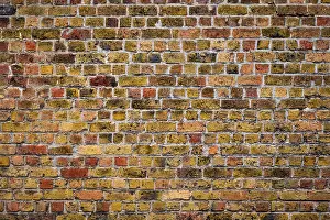 Full Frame Brick Wall Prints: Old brick wall texture background