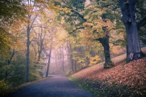 Deserted German Parks Prints: Old park in fall. Germany