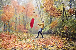 Central European Landscape Prints: Old park in fall. Germany