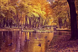 Prints of Old park in fall. Germany European Garden Prints: Old Park in Fall Germany Print