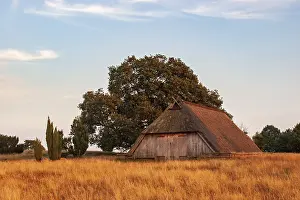 Natural Preserve Reserve Prints: Old sheepfold in the last evening light