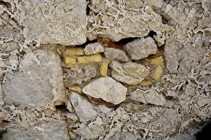 Old Stone Wall Prints: Old weathered wall, detail