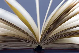 Cracked Open Book Prints: Open book