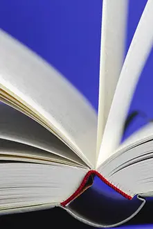 Open Book Details Prints: Open book