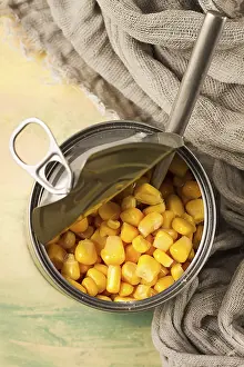 Selective Focus On Corn Prints: Open tin can, with corn, top view