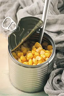 Sweet Corn Photography Prints: Open tin can, with corn, top view