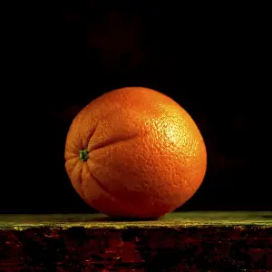 Nature Botany Photos Prints: Orange on a black background