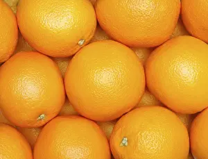 Orange Nutrition Prints: Oranges