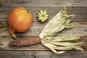 Rustic Wood Decor Prints: Ornamental corn ear and winter squash - flat lay on a rustic