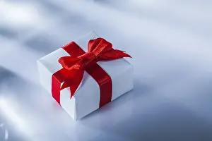 Decorative Gift Box Prints: Packed red gift box on white background