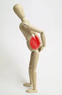 Back Pain Prints: Pain in the back
