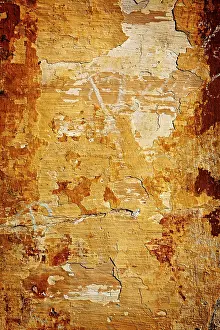 Close Up Plaster Wall Prints: Painted plaster wall texture