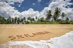 Deserted Sandy Beach Prints: Palm beach