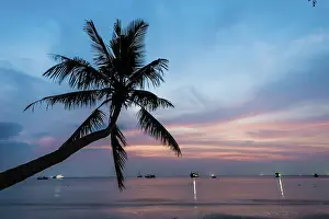 Pacific Ocean Landscape Photography Prints: Palm tree at sunset, by the sea