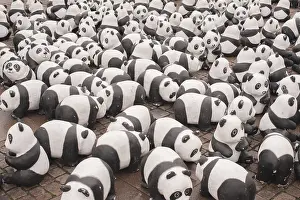 Old Town Dusseldorf Photography Prints: Panda bear