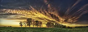 Deserted Panoramic View Prints: Panorama, row of trees in the approach of a cloud front