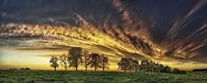 Deserted Landscape With Clouds Prints: Panorama, row of trees in the approach of a cloud front