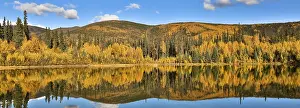 Deserted Water Body Prints: Panoramic view of a clear lake with reflections in fall