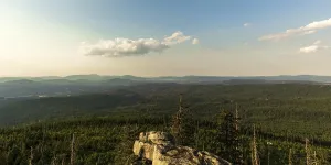 Central Europe Coniferous Trees Prints: Panoramic view from the Hochstein