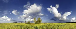 Bavaria Panorama Prints: Panoramic view of meadows and some trees